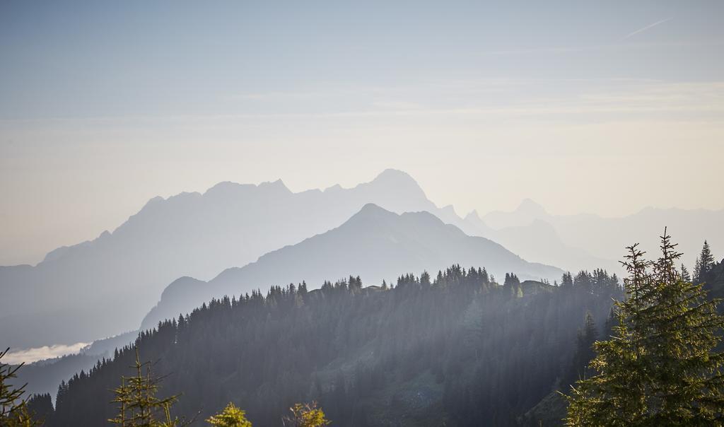 Hotel Der Gollinger Saalbach-Hinterglemm Zewnętrze zdjęcie